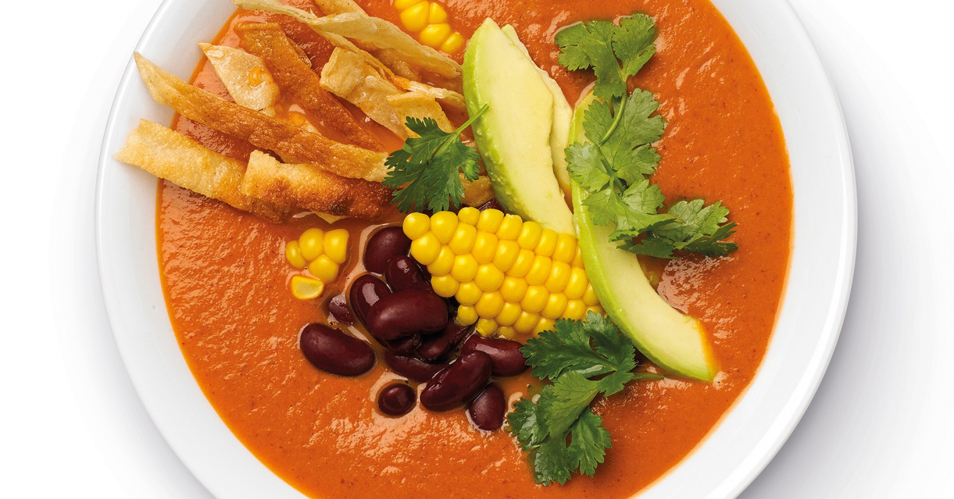 Speedy Tortilla Soup